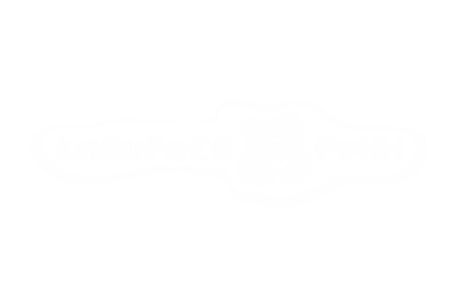 logo evelinamarket 701